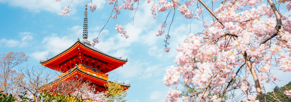 יעדי חופשה לפי עונות השנה